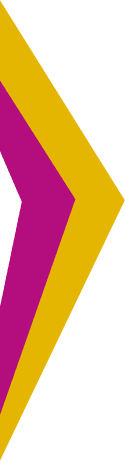 Decorative left arrow